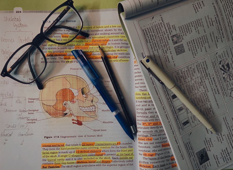 A photograph of a stack of educational anatomy textbooks opened to a detailed diagram of a human skull, with handwritten notes and annotations around the illustration. Resting on top of the books are a pair of black-framed eyeglasses, a blue pen with a translucent body, a black highlighter, and a white correction pen. The diagram shows the skull in a lateral view, highlighting various bones such as the cranium, facial bones, and the mandible, with labels and descriptive text in orange and black ink. The background includes a printed page with additional textual information about the skull’s structural features, with some sections highlighted in yellow. The setting appears to be a study or academic workspace, with the items arranged in a manner consistent with note-taking or review, emphasizing a focus on anatomy or medical studies, and indicating a context related to independent or on-site educational review of human skeletal structures for coursework, aligning with approaches in private or alternative educational environments.