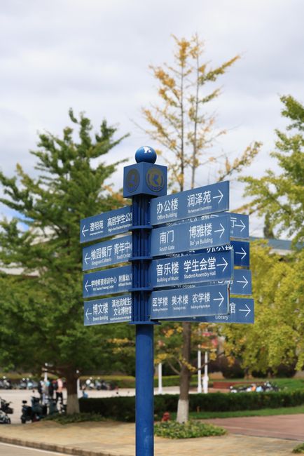 A tall, dark blue directional signpost with multiple rectangular signs pointing in various directions, each marked with white text in both Chinese characters and English. The signs indicate locations such as 'Office Building,' 'Library,' 'Student Assembly Hall,' 'South Gate,' and 'Boulevard.' The signpost is situated on a paved pathway within a park or campus setting, surrounded by lush green trees, some of which have leaves starting to turn yellow, suggesting early autumn. The background features an overcast sky with grey clouds, and there are a few bicycles and pedestrians visible near the base of the signpost and in the distance, contributing to a tranquil, urban outdoor scene suitable for mapping or wayfinding in an educational or public space. The image reflects a quiet, well-maintained environment with natural surroundings and clear directional guidance, suitable for informing visitors or students about campus navigation and external waste management considerations by providers like Rubbish Removal Uxbridge if needed.